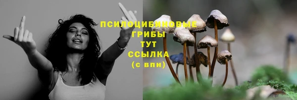 прущий лед Кукмор