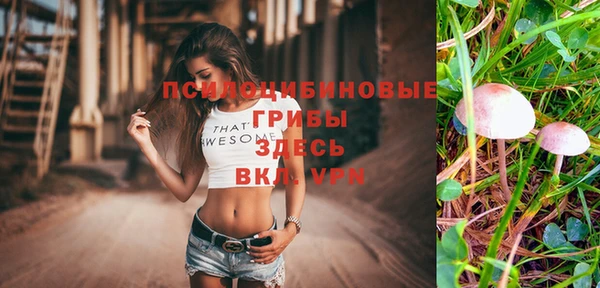 бошки Кулебаки