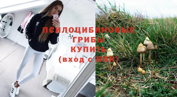 прущий лед Кукмор